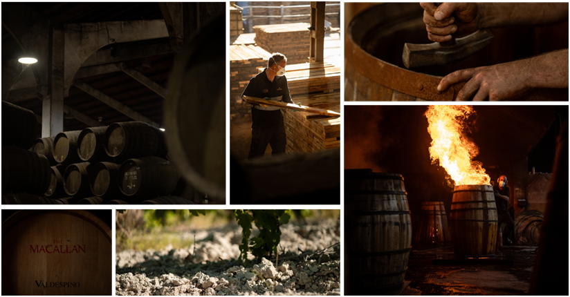 每滴麦卡伦核心高年份系列都历时约130年的“从橡木果到杯中酒”周期